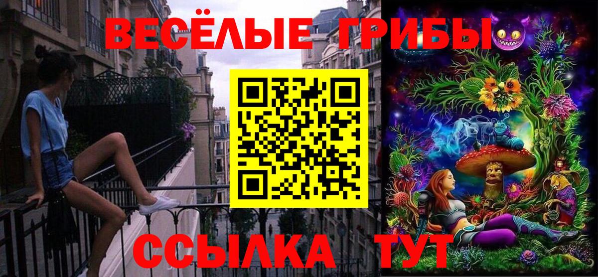 купить наркотики сайты  Псилоцибиновые грибы прущие грибы  Отрадный  Вход с VPN  Псилоцибиновые грибы MAGIC MUSHROOMS 