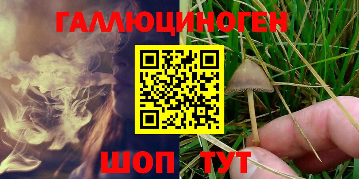 Галлюциногенные грибы MAGIC MUSHROOMS Отрадный